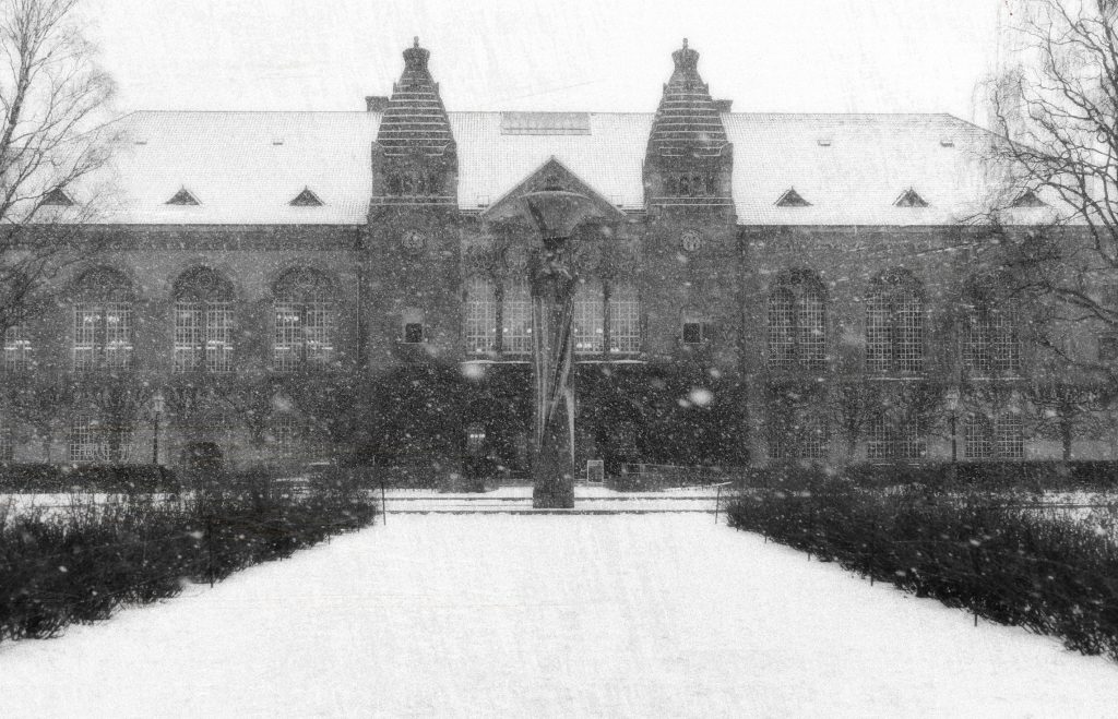 Garden of the Royal Library in light snowfall, Copenhagen, 2024. Photo: Kasper Bergholt.