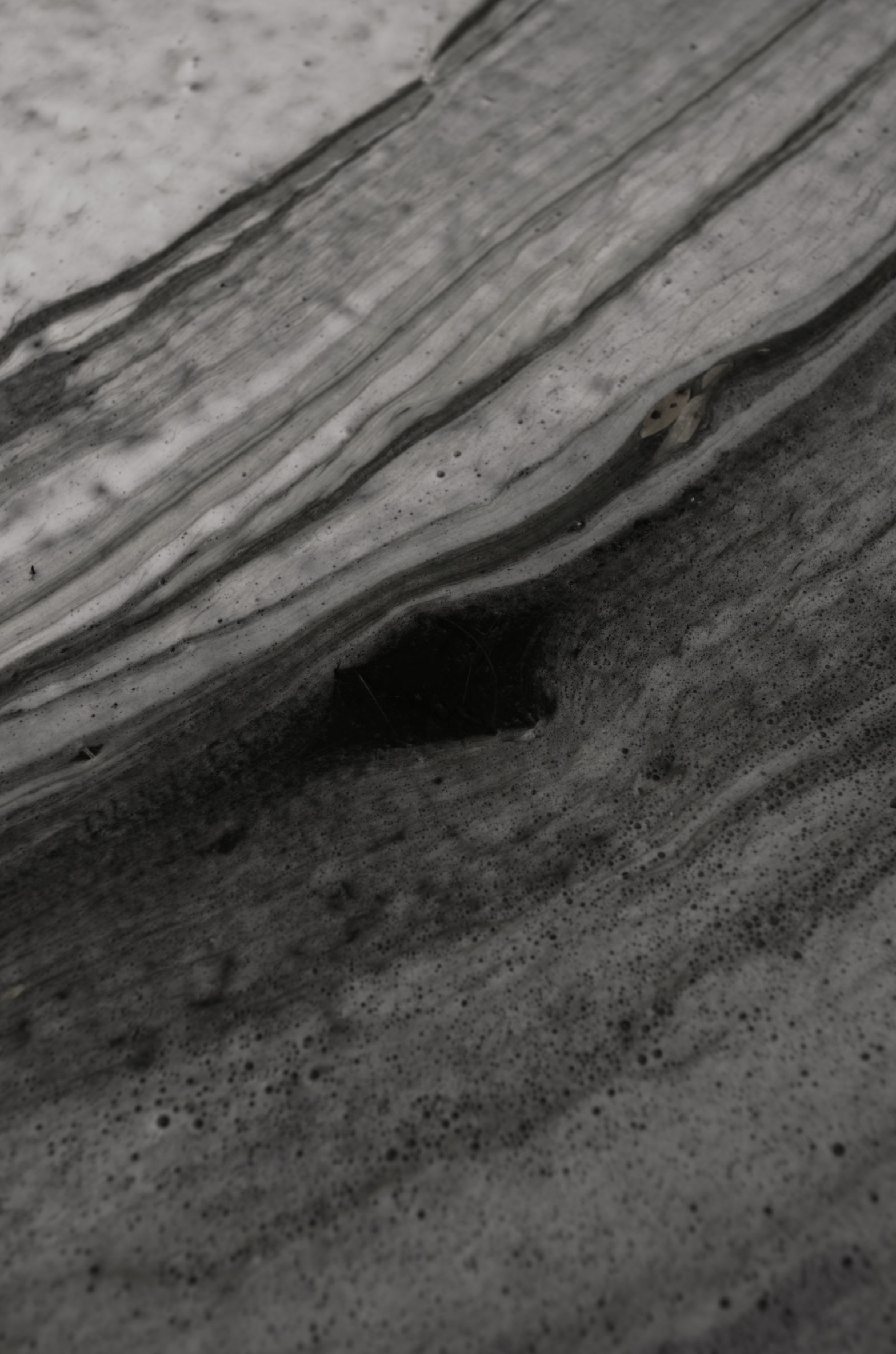 Illustration for: Viktor Shklovsky: On Flax from ‘On Freedom of Art’, The Third Factory, 1926