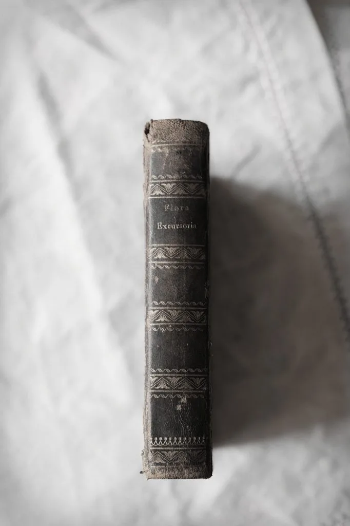 First edition from 1838 of 'Flora Excursoria Hafniensis' by Danish botanit Salomon Thomas Nicolai Drejer.