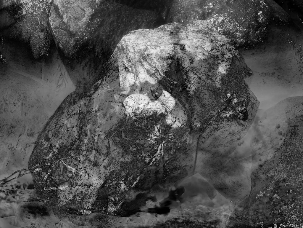 Black-and-white photograph of large, rounded boulders filling the frame. The central rock is brightly lit across its upper face and heavily textured with cracks, lichen, and mineral mottling, fading into deep shadow toward the edges. Faint, semi-transparent forms resembling bare trees and branches are superimposed over the stone and the pale, misty background, giving the image a layered, double-exposure quality.