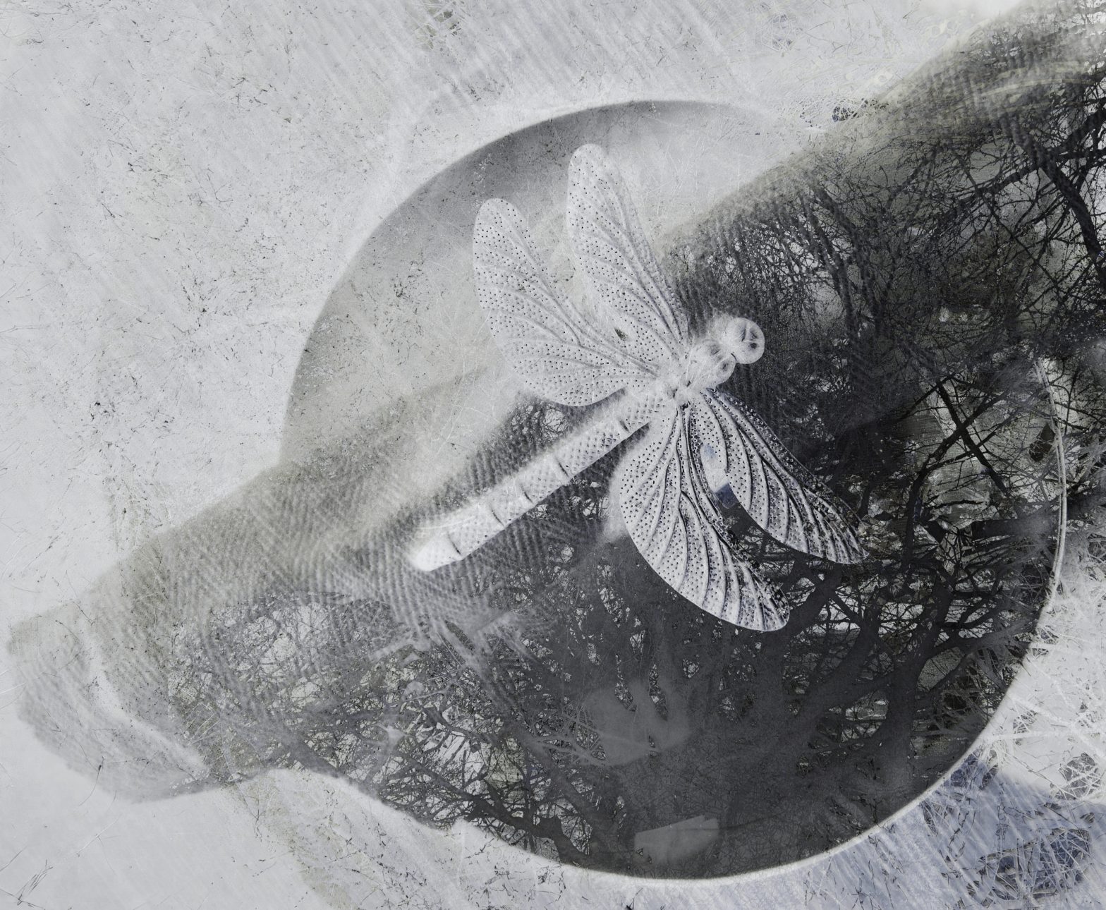 Jacques Derrida: Je voudrais apprendre à vivre enfin