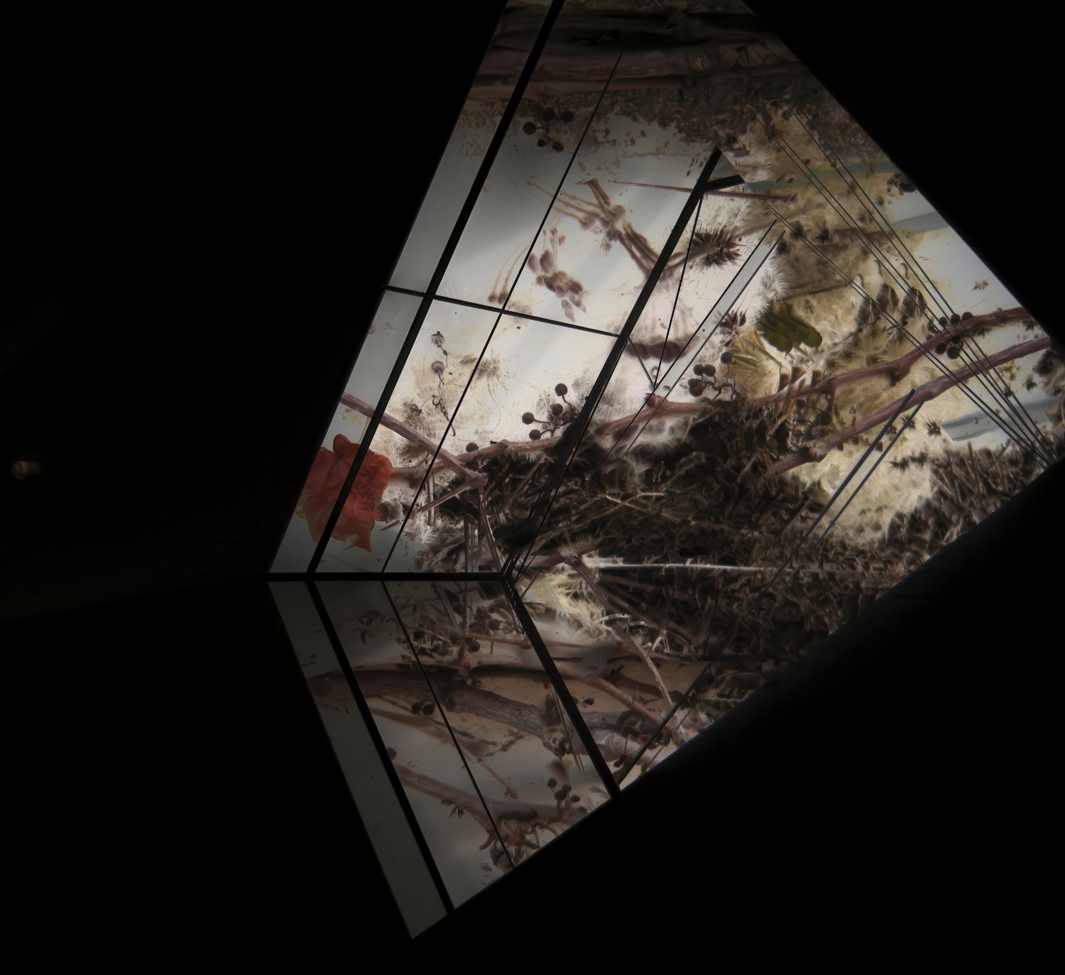Illustration: Glossary of a Triptych: System Poetry, Heteroglossia, Chronotopes, and Glossematics